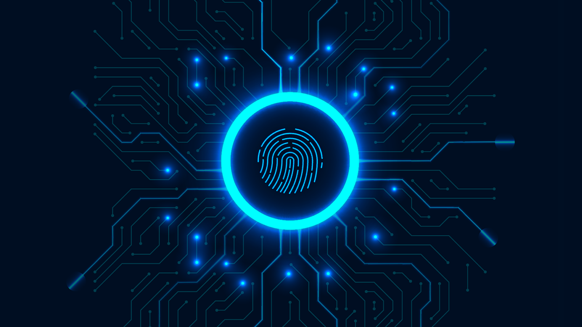 Demo Audience Illustration